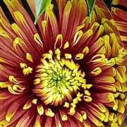 ヒメ日記 2025/10/28 10:01 投稿 斉藤恵 セレブショップ新宿（東京ハレ系）