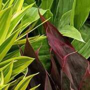 ヒメ日記 2025/10/28 11:45 投稿 斉藤恵 セレブショップ新宿（東京ハレ系）