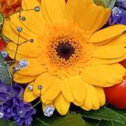 ヒメ日記 2025/10/29 07:15 投稿 斉藤恵 セレブショップ新宿（東京ハレ系）