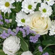 ヒメ日記 2025/11/01 11:46 投稿 斉藤恵 セレブショップ新宿（東京ハレ系）