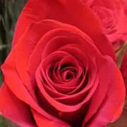 ヒメ日記 2025/11/05 17:31 投稿 斉藤恵 セレブショップ新宿（東京ハレ系）