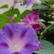 ヒメ日記 2025/11/07 06:00 投稿 斉藤恵 セレブショップ新宿（東京ハレ系）