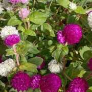 ヒメ日記 2025/11/08 06:25 投稿 斉藤恵 セレブショップ新宿（東京ハレ系）