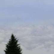 ヒメ日記 2025/11/09 06:00 投稿 斉藤恵 セレブショップ新宿（東京ハレ系）