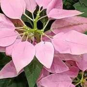 ヒメ日記 2025/11/09 18:31 投稿 斉藤恵 セレブショップ新宿（東京ハレ系）