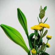 ヒメ日記 2025/11/10 06:00 投稿 斉藤恵 セレブショップ新宿（東京ハレ系）