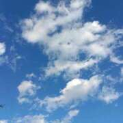 ヒメ日記 2025/11/10 15:30 投稿 斉藤恵 セレブショップ新宿（東京ハレ系）