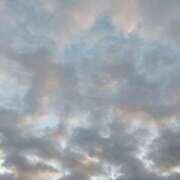 ヒメ日記 2025/11/11 13:15 投稿 斉藤恵 セレブショップ新宿（東京ハレ系）