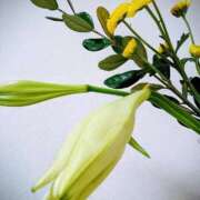 ヒメ日記 2025/11/13 06:21 投稿 斉藤恵 セレブショップ新宿（東京ハレ系）