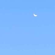 ヒメ日記 2025/11/14 12:04 投稿 斉藤恵 セレブショップ新宿（東京ハレ系）