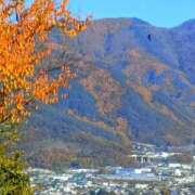 ヒメ日記 2025/11/17 19:33 投稿 斉藤恵 セレブショップ新宿（東京ハレ系）