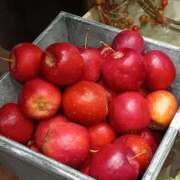 ヒメ日記 2025/11/19 07:15 投稿 斉藤恵 セレブショップ新宿（東京ハレ系）