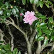 ヒメ日記 2025/11/21 06:01 投稿 斉藤恵 セレブショップ新宿（東京ハレ系）