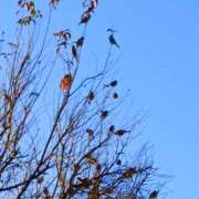 ヒメ日記 2025/11/21 18:41 投稿 斉藤恵 セレブショップ新宿（東京ハレ系）