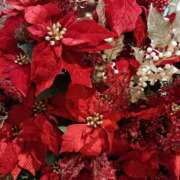 ヒメ日記 2025/11/23 21:02 投稿 斉藤恵 セレブショップ新宿（東京ハレ系）