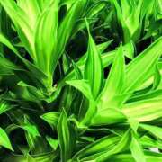 ヒメ日記 2025/11/24 00:09 投稿 斉藤恵 セレブショップ新宿（東京ハレ系）