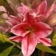 ヒメ日記 2025/11/24 18:04 投稿 斉藤恵 セレブショップ新宿（東京ハレ系）