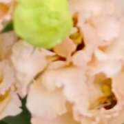 ヒメ日記 2025/11/25 18:03 投稿 斉藤恵 セレブショップ新宿（東京ハレ系）