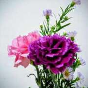 ヒメ日記 2025/11/27 19:33 投稿 斉藤恵 セレブショップ新宿（東京ハレ系）