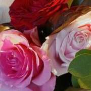 ヒメ日記 2025/11/30 07:15 投稿 斉藤恵 セレブショップ新宿（東京ハレ系）