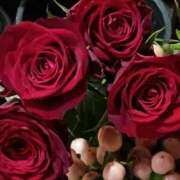 ヒメ日記 2025/12/01 00:15 投稿 斉藤恵 セレブショップ新宿（東京ハレ系）