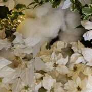 ヒメ日記 2025/12/01 06:00 投稿 斉藤恵 セレブショップ新宿（東京ハレ系）