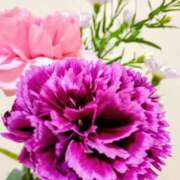 ヒメ日記 2025/12/01 18:15 投稿 斉藤恵 セレブショップ新宿（東京ハレ系）