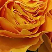 ヒメ日記 2025/12/03 07:15 投稿 斉藤恵 セレブショップ新宿（東京ハレ系）