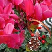 ヒメ日記 2025/12/08 00:01 投稿 斉藤恵 セレブショップ新宿（東京ハレ系）