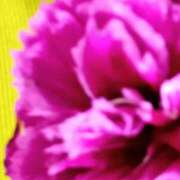 ヒメ日記 2025/12/08 11:03 投稿 斉藤恵 セレブショップ新宿（東京ハレ系）