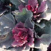 ヒメ日記 2025/12/09 14:05 投稿 斉藤恵 セレブショップ新宿（東京ハレ系）