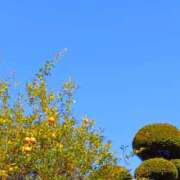 ヒメ日記 2025/12/10 06:00 投稿 斉藤恵 セレブショップ新宿（東京ハレ系）