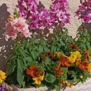 ヒメ日記 2025/12/10 07:15 投稿 斉藤恵 セレブショップ新宿（東京ハレ系）