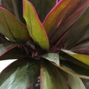 斉藤恵 おはようございます セレブショップ新宿（東京ハレ系）