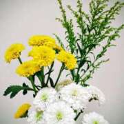 斉藤恵 12月 セレブショップ新宿（東京ハレ系）