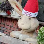 ヒメ日記 2025/12/16 19:45 投稿 斉藤恵 セレブショップ新宿（東京ハレ系）