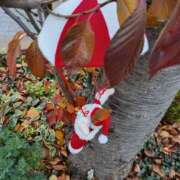 ヒメ日記 2025/12/21 10:30 投稿 斉藤恵 セレブショップ新宿（東京ハレ系）