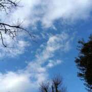 ヒメ日記 2025/12/22 14:00 投稿 斉藤恵 セレブショップ新宿（東京ハレ系）