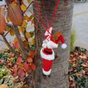 ヒメ日記 2025/12/23 01:15 投稿 斉藤恵 セレブショップ新宿（東京ハレ系）