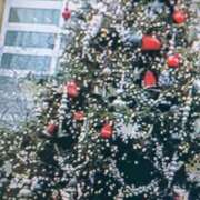 ヒメ日記 2025/12/25 06:00 投稿 斉藤恵 セレブショップ新宿（東京ハレ系）