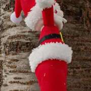 ヒメ日記 2025/12/25 11:45 投稿 斉藤恵 セレブショップ新宿（東京ハレ系）