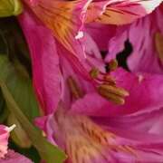 ヒメ日記 2025/12/27 14:13 投稿 斉藤恵 セレブショップ新宿（東京ハレ系）