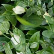 ヒメ日記 2025/12/28 06:00 投稿 斉藤恵 セレブショップ新宿（東京ハレ系）