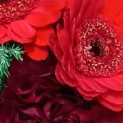 ヒメ日記 2025/12/28 07:15 投稿 斉藤恵 セレブショップ新宿（東京ハレ系）