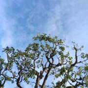 ヒメ日記 2026/01/01 11:58 投稿 斉藤恵 セレブショップ新宿（東京ハレ系）