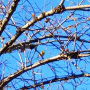 ヒメ日記 2026/01/03 15:13 投稿 斉藤恵 セレブショップ新宿（東京ハレ系）