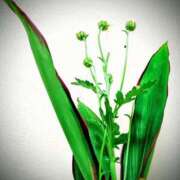 ヒメ日記 2026/01/08 00:00 投稿 斉藤恵 セレブショップ新宿（東京ハレ系）