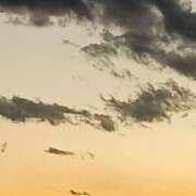 ヒメ日記 2026/01/09 06:00 投稿 斉藤恵 セレブショップ新宿（東京ハレ系）