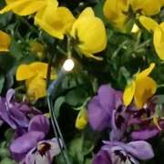 ヒメ日記 2026/01/11 06:00 投稿 斉藤恵 セレブショップ新宿（東京ハレ系）