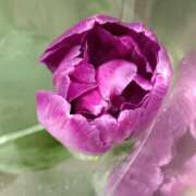 ヒメ日記 2026/01/12 06:00 投稿 斉藤恵 セレブショップ新宿（東京ハレ系）